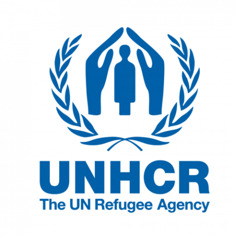 UKRAINE: UNHCR Gets $200m In Emergency Response Donations