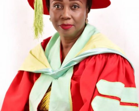 What Women Need To Do For More Inclusion In Politics - PDP Woman Leader