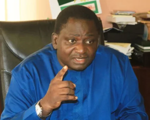 Femi Adesina