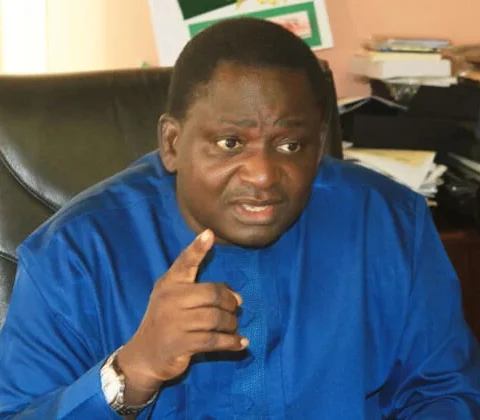 Femi Adesina