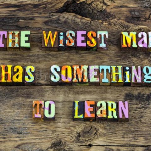 Learn from the wise