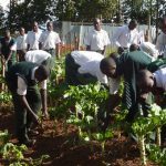 260 Enugu Young Farmers Undergo Training In Modern Agriculture