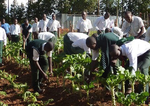 260 Enugu Young Farmers Undergo Training In Modern Agriculture