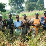 4 Ways To Earn Money From Farm Business Without Owning Land