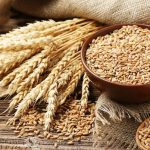 Analysts Seek Urgent Measures To Save Wheat Value Chain As Global Market Price Rises By 31.4% In Q1, 2022