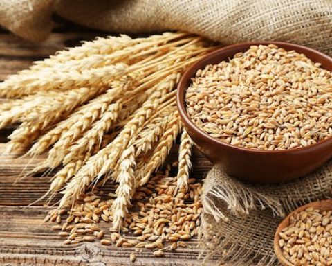Analysts Seek Urgent Measures To Save Wheat Value Chain As Global Market Price Rises By 31.4% In Q1, 2022