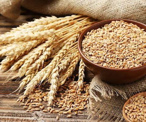 Analysts Seek Urgent Measures To Save Wheat Value Chain As Global Market Price Rises By 31.4% In Q1, 2022