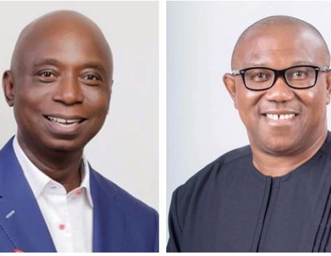 Peter Obi Better Off Economy Minister, Not President – Ned Nwoko