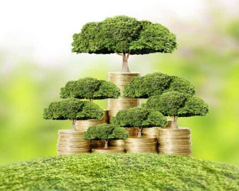How_To_Grow_Your_Money