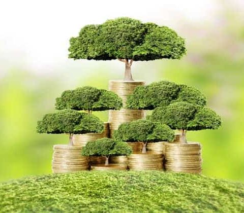 How_To_Grow_Your_Money