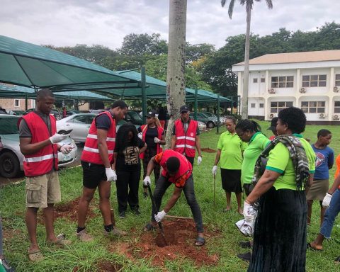 UNN Rotaractors, Others Plant 100 Trees In Campus