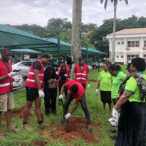 UNN Rotaractors, Others Plant 100 Trees In Campus