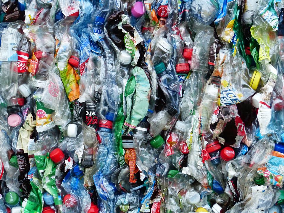 Scientists Discover Worms With Abnormal Appetite For Plastic Waste