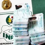 INEC Official Asks Voters To Cast Unsigned Ballots In Enugu