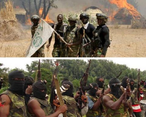 Nigeria's Terror Cottage Industry