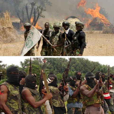 Nigeria's Terror Cottage Industry