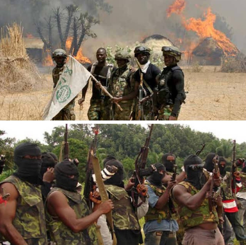 Nigeria's Terror Cottage Industry