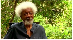What Soyinka Means To Me