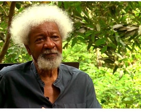 What Soyinka Means To Me
