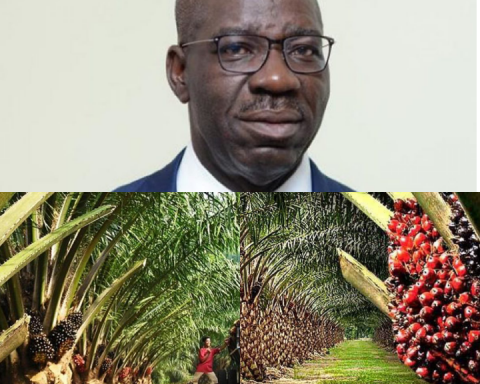 ‘We’ve Built Structures To Sustain Gains Of $500m Investment In Edo Oil Palm Sector’ – Obaseki