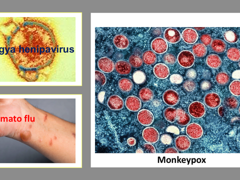 Monkeypox Promoted To Superstardom