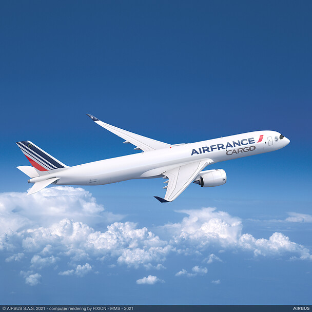 Two Air France Pilots Fight, Exchange Blows Mid Air