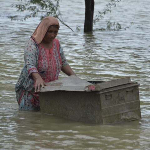 President Buhari Calls Global Attention To Parkistan Floods