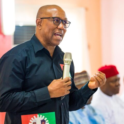 2023: Obi-Datti Ticket Represents Competence, Integrity, Says Nigerian Professionals