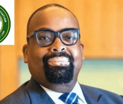 NBA President Blames Supplier For Lawyers' Stampede Over Bags Collection At Conference