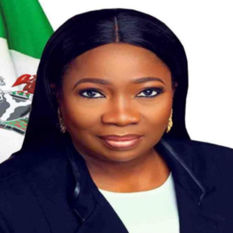 JAPA: FG Plans Diaspora City, Mortgage For Nigerians In US, Canada, UK