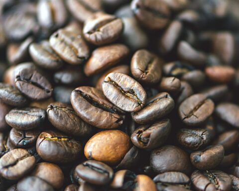 Uganda Attains 19.5% Rise In Coffee Export Value Despite Dip In Volumes