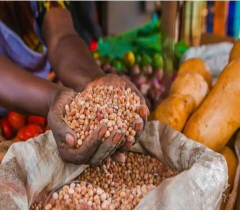 Sahel Region: UK Issues Us$37.4M Humanitarian Funding For Food, Water