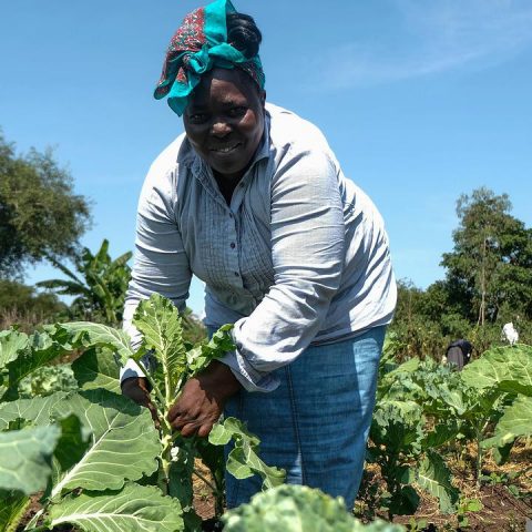 Again! World Bank Invests Big In West Africa Food Security