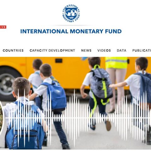 60% Of Low-Income Countries At High Risk Of Debt Distress – IMF Declares