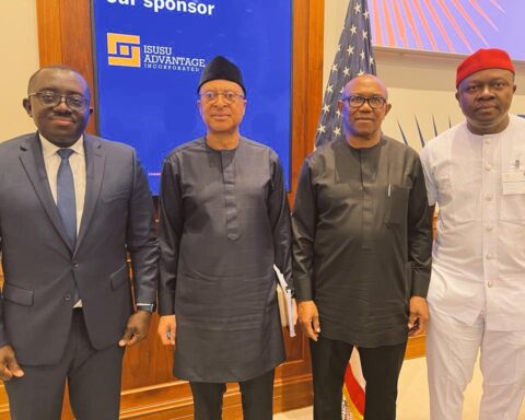 Nigeria Diaspora Can Play Invaluable Role In Good Governance Project – Obi