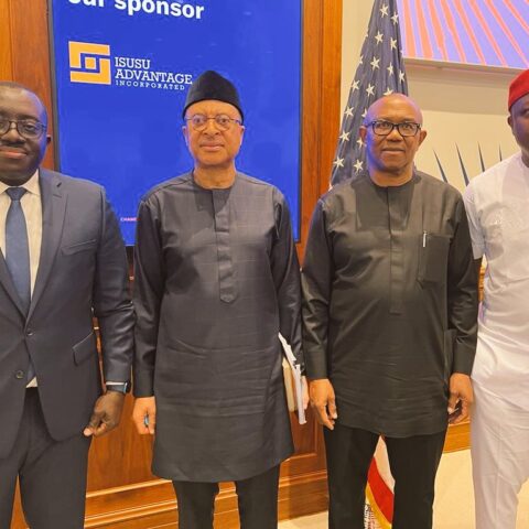 Nigeria Diaspora Can Play Invaluable Role In Good Governance Project – Obi