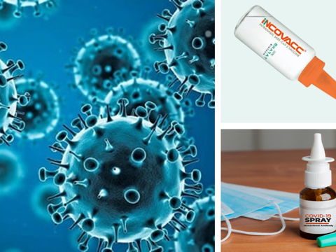 COVID Nasal And Oral Vaccines Now In The Market