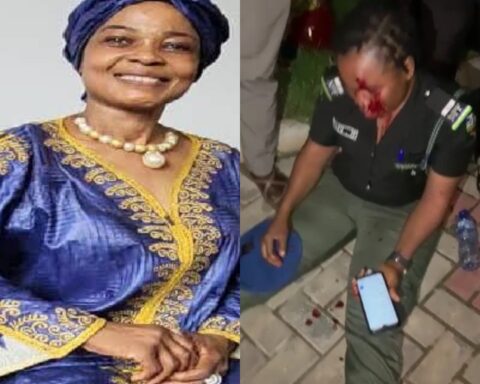 IGP Orders Express Prosecution Of Activist For Manhandling Police Orderly In Abuja