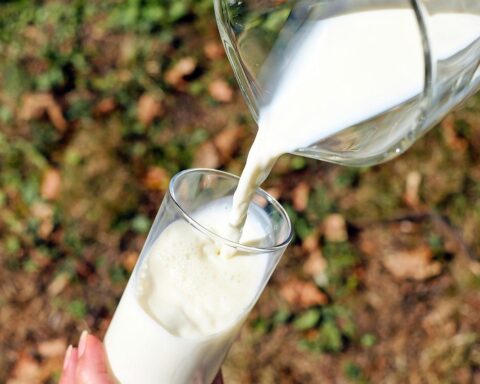 GLOBAL MILK DECLINE: Company Warns High Dairy Prices May Persist Throughout Year 2022