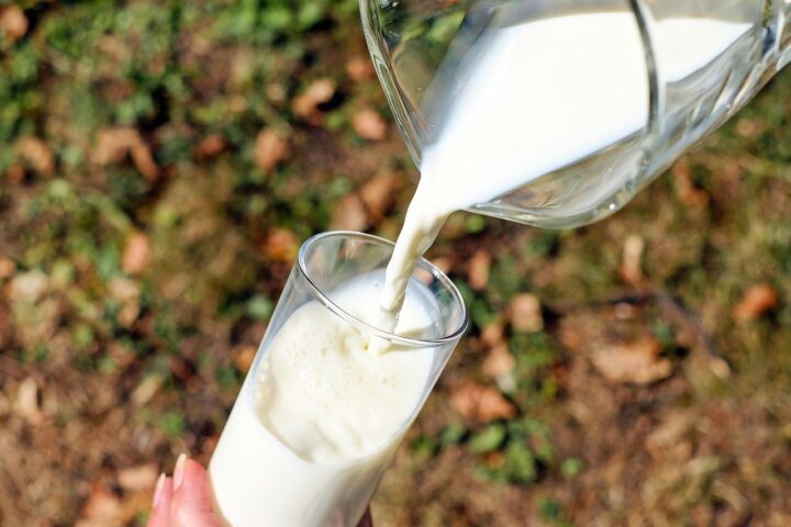 GLOBAL MILK DECLINE: Company Warns High Dairy Prices May Persist Throughout Year 2022