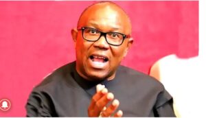 Peter Obi Reveals Why UK Gov't Shutdown His 'Next' Company