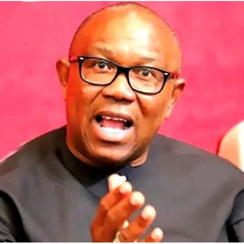 Peter Obi Reveals Why UK Gov't Shutdown His 'Next' Company