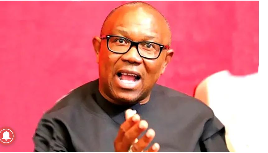 Peter Obi Reveals Why UK Gov't Shutdown His 'Next' Company