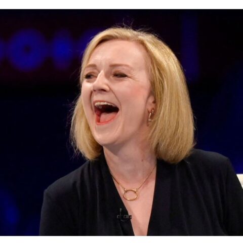 Drama As Sweden's PM Messages Wrong Liz Truss On Twitter