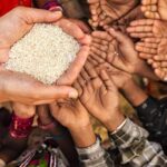 Food Prices Drop On CBN’s Naira Policy In Suleja, Lambata, Other Markets