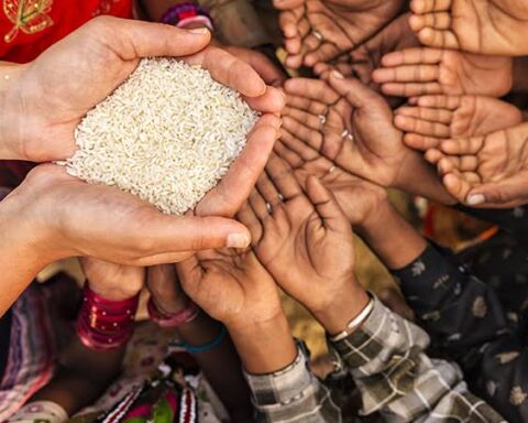 Food Prices Drop On CBN’s Naira Policy In Suleja, Lambata, Other Markets