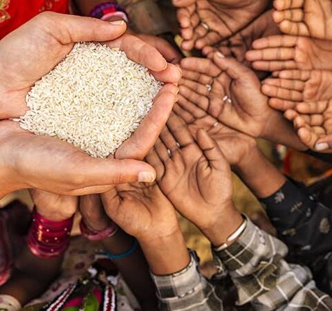 Food Prices Drop On CBN’s Naira Policy In Suleja, Lambata, Other Markets