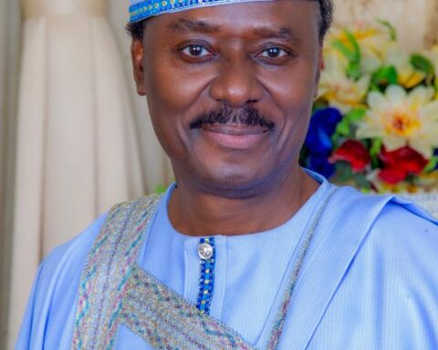 Aboriginal Democracy Will End Ethnicity, Religious Bigotry - Okotie