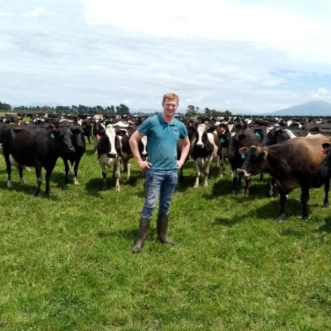 New Zealand Farmers Protest 'Burp And Fart' Tax Imposition