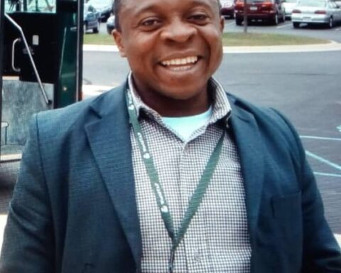 'Putin' The Cart Before The 'Ukraine Horse' - Olukayode Oyeleye 